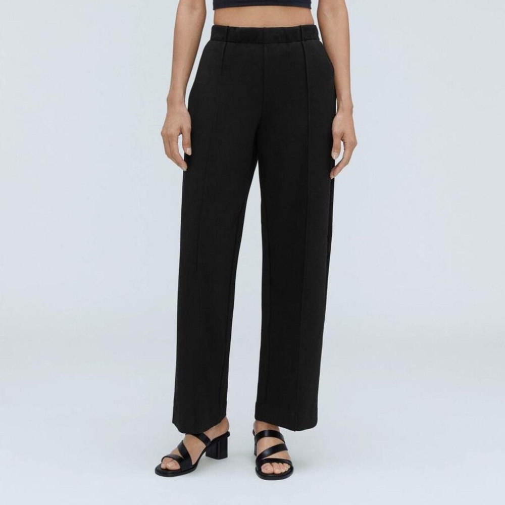 Everlane The Wide Leg Dream Pants